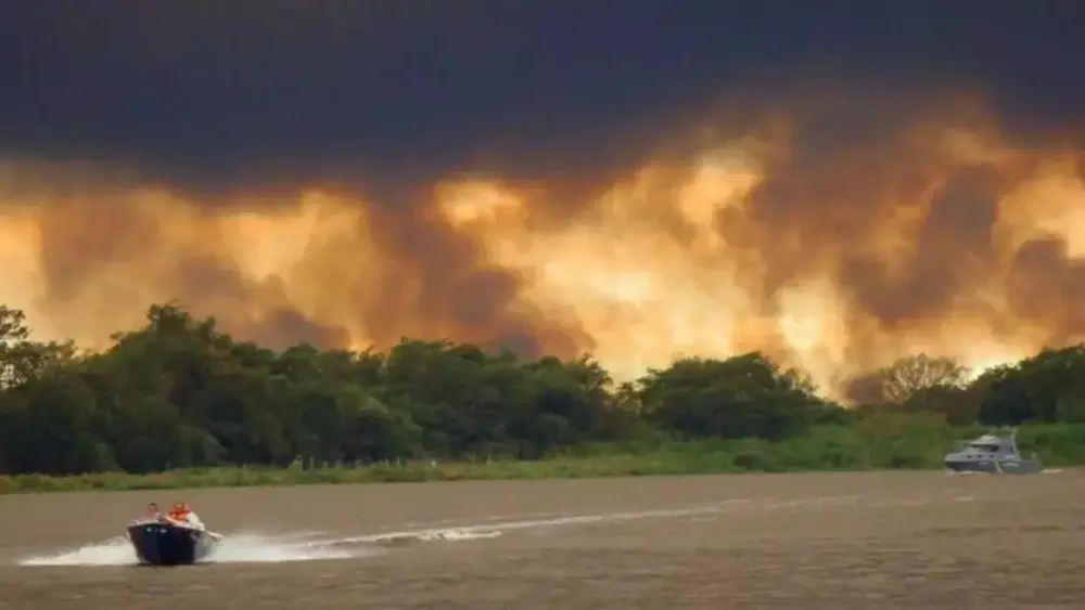 Pantanal: área queimada cresce 770% e MS entra em alerta